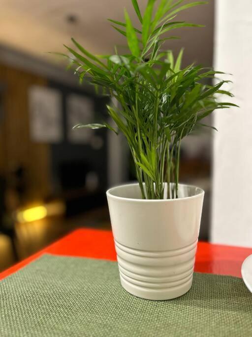 شقة Loft Centro سانتاندر المظهر الخارجي الصورة